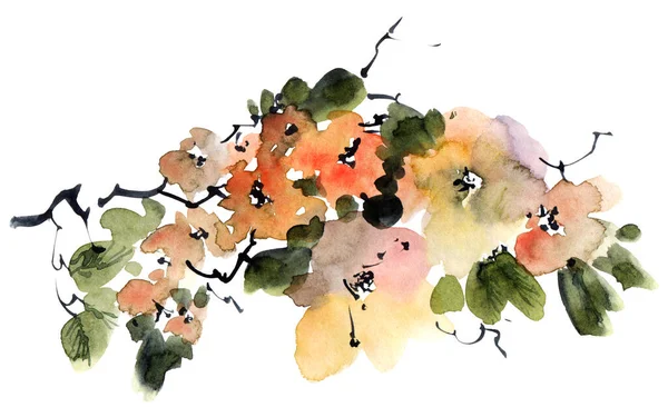 Акварель Чернила Иллюстрация Цветущей Ветви Дерева Цветами Почками Листьями Восточная — стоковое фото