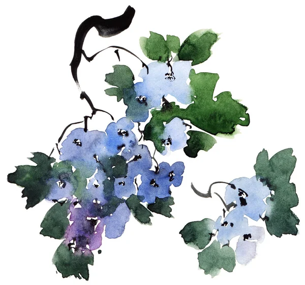 Akwarela Atrament Ilustracja Gałęzi Drzewa Rozkwicie Niebieskie Kwiaty Pąki Liście — Zdjęcie stockowe