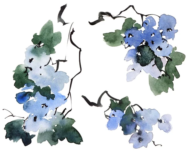 Aquarelle Illustration Encre Branches Arbres Fleurs Fleurs Bleues Bourgeons Feuilles — Photo