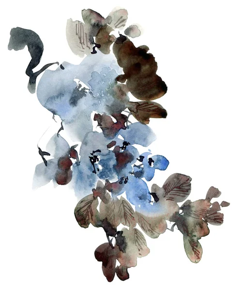 Acuarela Tinta Ilustración Rama Del Árbol Flor Flores Azules Brotes — Foto de Stock