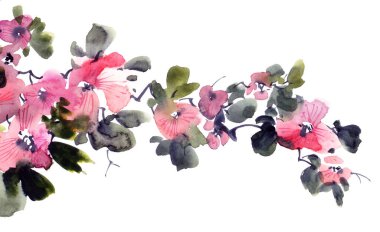 Çiçekleri, tomurcukları ve yaprakları olan çiçek ağacı dalının suluboya ve mürekkep çizimi. Geleneksel oryantal resim tarzı sumi-e, u-sin ve gohua..