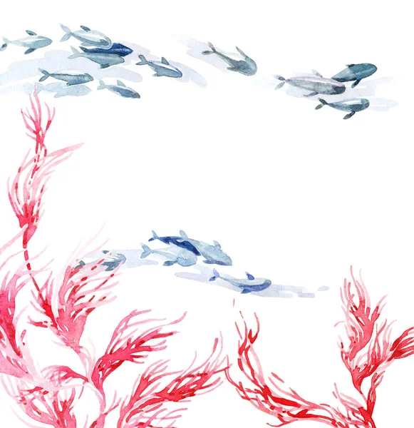 Watercolor Illustration Seaweed Floating Fishes — Stock Photo, Image