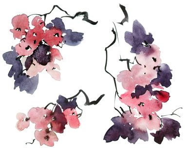 Ağaç dalının suluboya ve mürekkep çizimi çiçek, tomurcuk ve yapraklar. Geleneksel oryantal resim tarzı sumi-e, u-sin ve gohua..