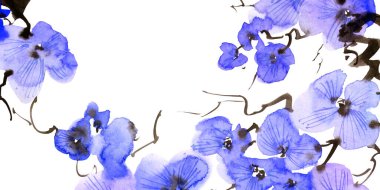 Mavi çiçekli çiçek dalının suluboya çizimi. Geleneksel oryantal resim tarzı sumi-e, u-sin ve gohua. Beyaz arka planda çiçekler. Yatay arkaplan.