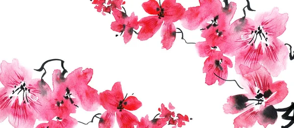 Акварельная Иллюстрация Цветущей Сакуры Розовыми Цветами Бутонами Восточная Традиционная Живопись — стоковое фото