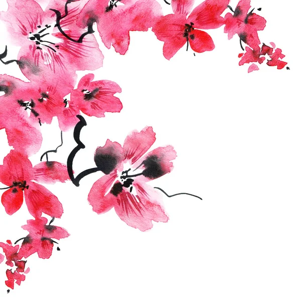 Акварельна Ілюстрація Квітки Сакури Рожевими Квітами Бутонами Східна Традиційна Картина — стокове фото