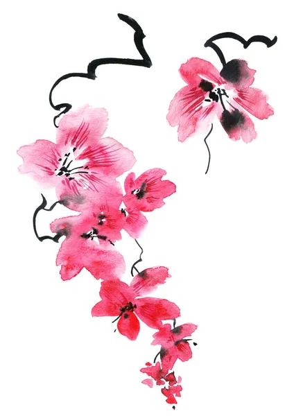 Акварельна Ілюстрація Квітки Сакури Рожевими Квітами Бутонами Східна Традиційна Картина — стокове фото