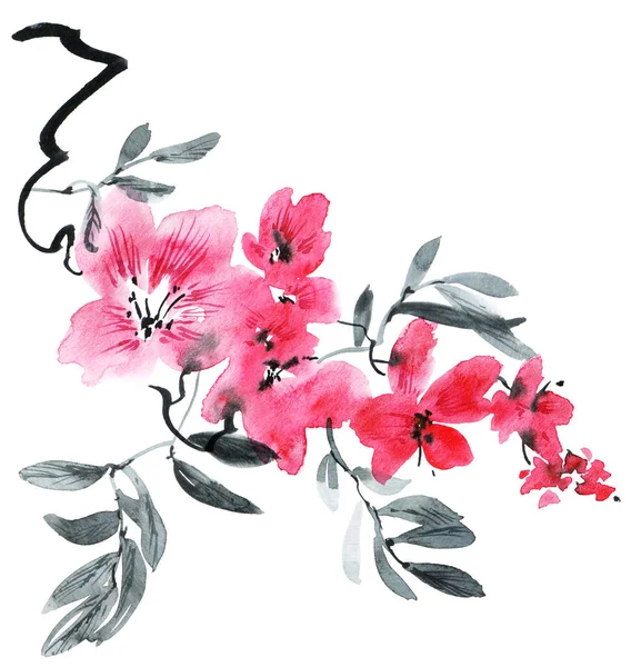 Illustrazione Acquerello Inchiostro Albero Fiorito Con Fiori Rosa Boccioli Foglie — Foto Stock