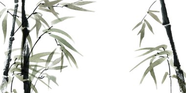 Beyaz arka planda yaprakları olan bambuların suluboya çizimi. Geleneksel oryantal resim, sumi-e..