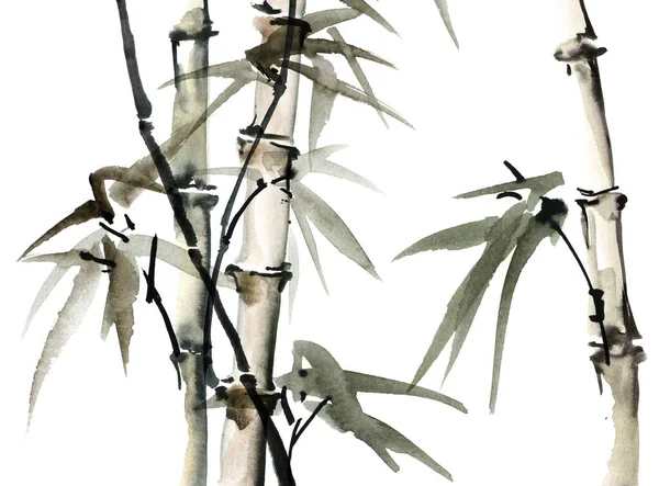 Illustrazione Acquerello Bambù Con Foglie Sfondo Bianco Pittura Orientale Tradizionale — Foto Stock