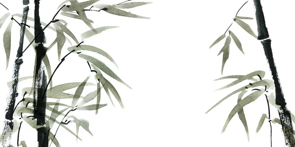 Beyaz Arka Planda Yaprakları Olan Bambuların Suluboya Çizimi Geleneksel Oryantal — Stok fotoğraf