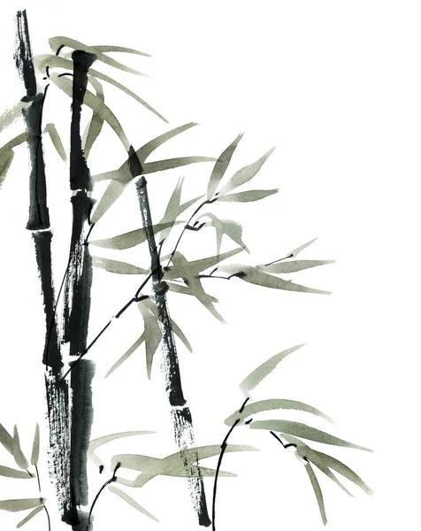 Akvarell Illustration Bambu Med Blad Vit Bakgrund Orientalisk Traditionell Målning — Stockfoto