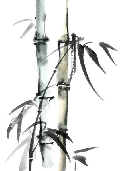 Illustrazione Acquerello Bambù Con Foglie Sfondo Bianco Pittura Orientale Tradizionale — Foto Stock