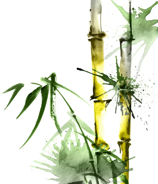 Illustration Aquarelle Bambou Avec Des Feuilles Des Éclaboussures Sur Fond — Photo