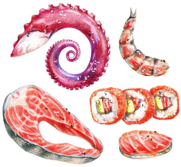Kolor Ołówki Realistyczna Ilustracja Owoców Morza Stek Łososia Sushi Bułki — Zdjęcie stockowe