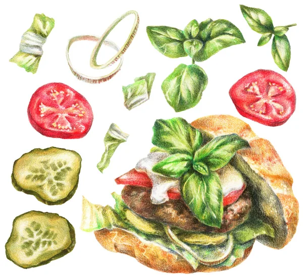 Lápices Colores Ilustración Realista Alimentos Hamburguesa Tomate Pepinillo Cebolla Albahaca — Foto de Stock