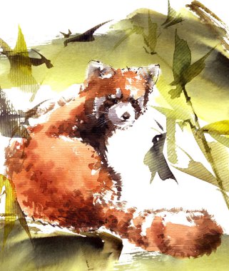 Bambu çalıları arasında küçük pandanın suluboya çizimi. Sanatsal resim.