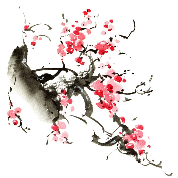 Aquarell Und Tusche Illustration Der Blüte Sakura Baum Mit Rosa — Stockfoto