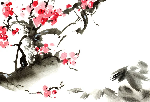 Çiçekli sakura ağacının suluboya ve mürekkep çizimi. Sumi-e tarzında mürekkep ve suluboya ile geleneksel oryantal resim.