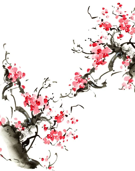 Çiçekli sakura ağacının suluboya ve mürekkep çizimi. Sumi-e tarzında mürekkep ve suluboya ile geleneksel oryantal resim.