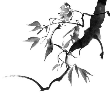 Ağaç gövdesinin suluboya ve mürekkep çizimi, yapraklar ve böğürtlen - beyaz arka planda gri tonlu resim. Kusursuz desen. Geleneksel oryantal resim tarzı sumi-e veya gohua..