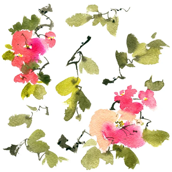 Akvarell Och Bläck Illustration Blommande Träd Med Rosa Blommor Knoppar — Stockfoto