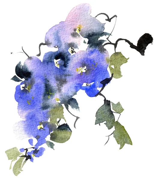 Akwarela Atrament Ilustracja Drzewa Kwiatowego Niebieskimi Kwiatami Pączkami Liśćmi Orientalne — Zdjęcie stockowe