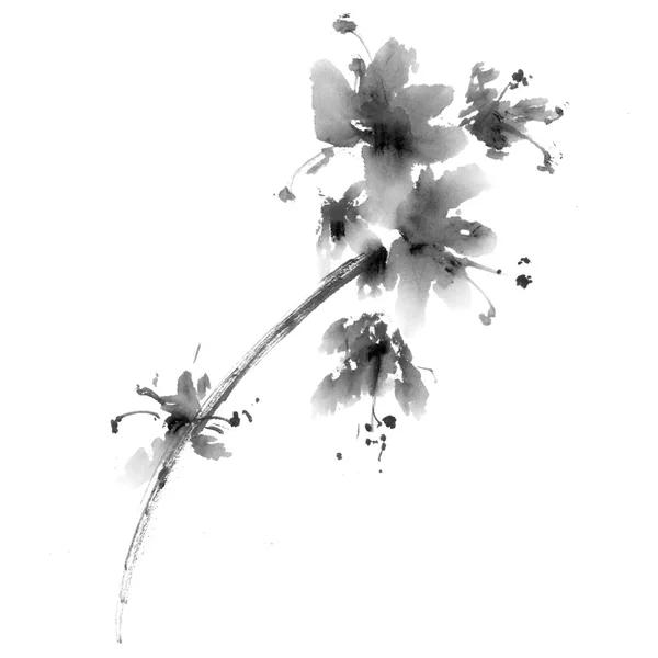 Acquerello dipinto fiori — Foto Stock