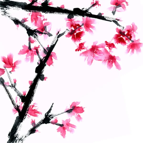 Suluboya çiçek boyalı — Stok fotoğraf