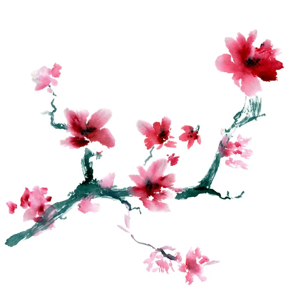 Ακουαρέλα με ζωγραφισμένα λουλούδια — Φωτογραφία Αρχείου