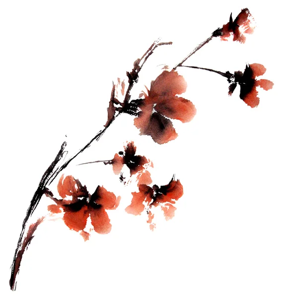 花を描いた水彩画 — ストック写真