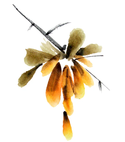 Ακουαρέλα με ζωγραφισμένα λουλούδια — Φωτογραφία Αρχείου