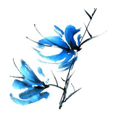 suluboya çiçek illüstrasyonu