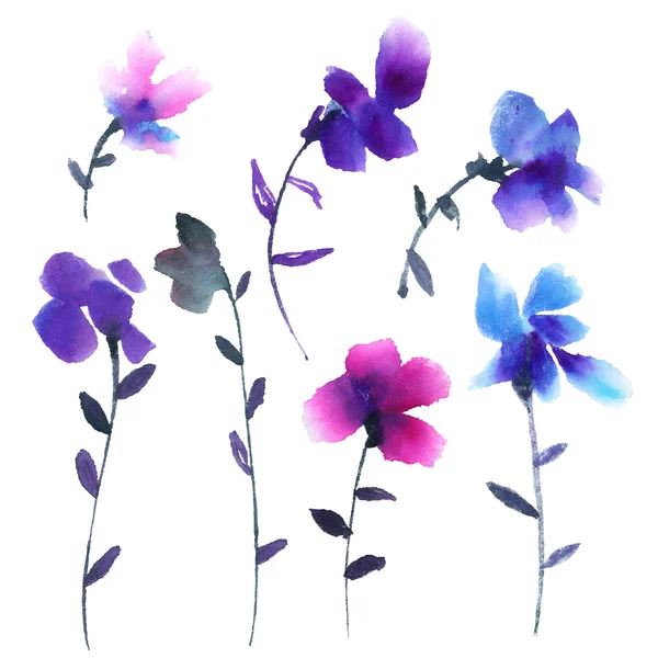 stock image Watercolor floral illustration