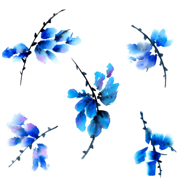 Watercolor floral illustration — Stock Photo, Image