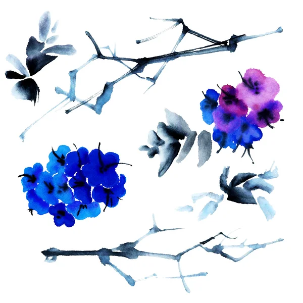 Illustration florale aquarelle — Photo