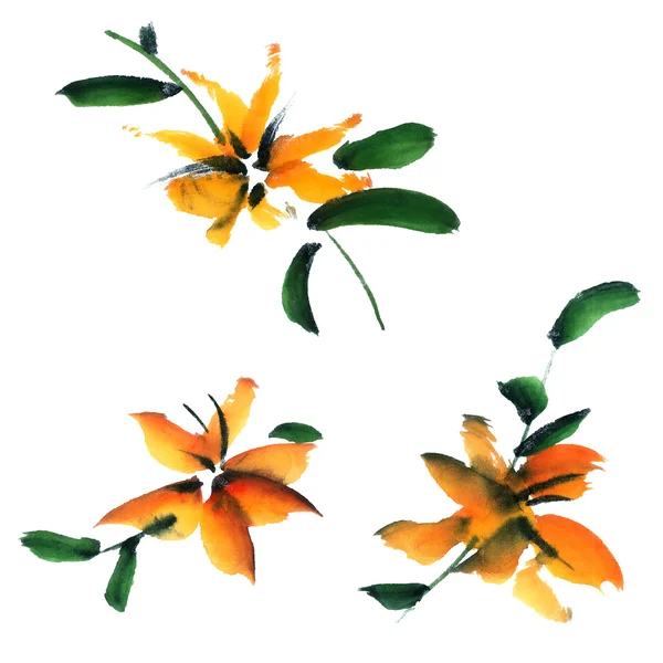 Ilustración floral acuarela — Foto de Stock