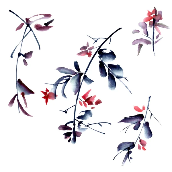 Aquarel floral illustratie — Stockfoto