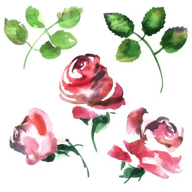 Gül ayarlayın. Çiçek şekil..