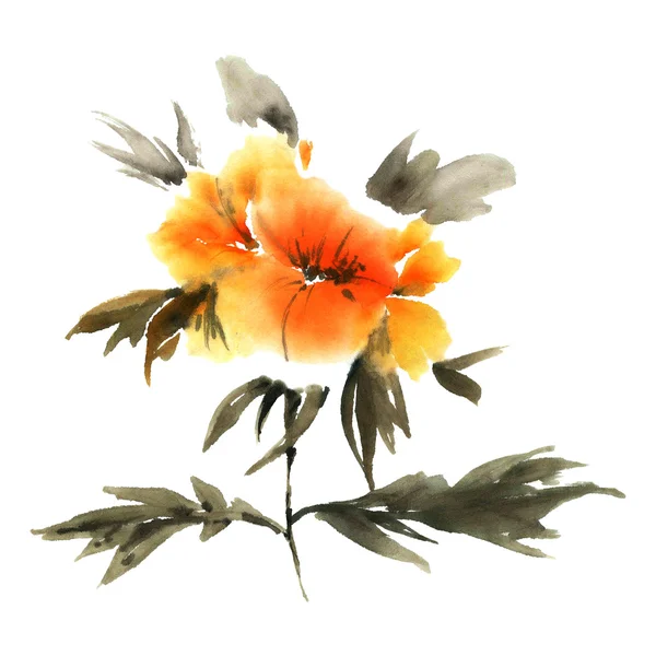 Pion. Blommor illustration.. — Stockfoto