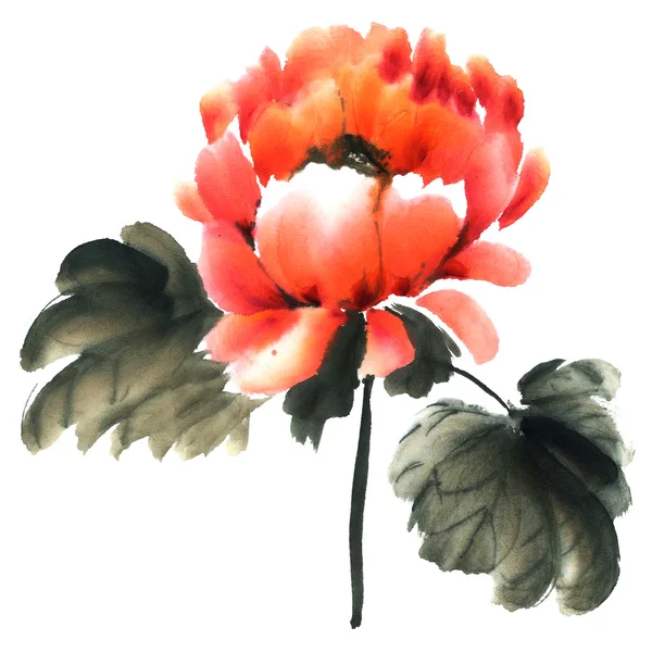 Peony. Flowers illustration.. — Stock Photo, Image