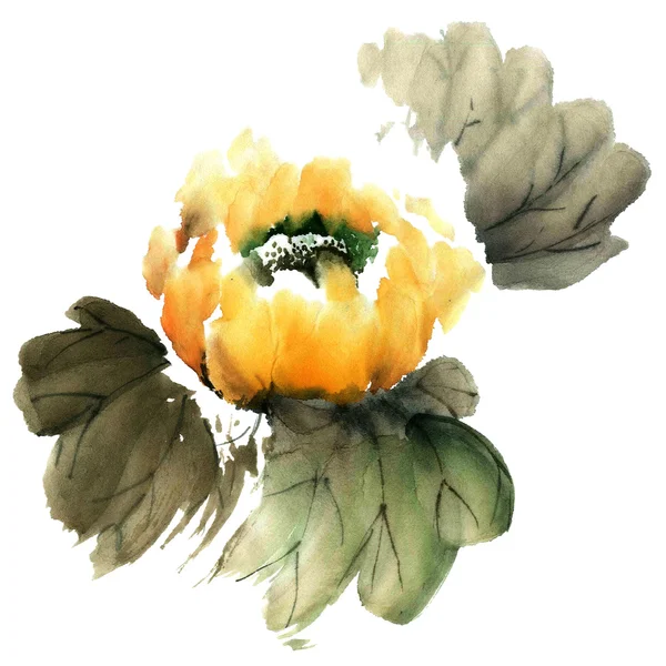 Waterlelie. Bloemen illustratie.. — Stockfoto