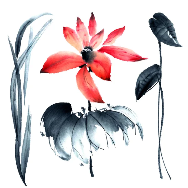 Lotus. Illustration de fleurs.. — Photo