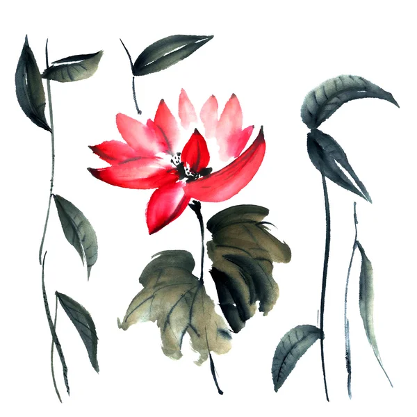 Lotus. Εικονογράφηση λουλούδια.. — Φωτογραφία Αρχείου