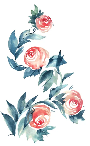 Roses tree. Flowers illustration.. — Stock Photo, Image