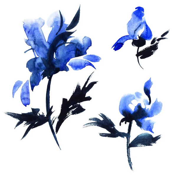 Ilustración de flores azules —  Fotos de Stock