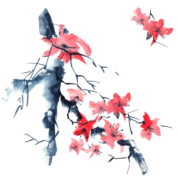 Сакура. Иллюстрация цветы.. — стоковое фото