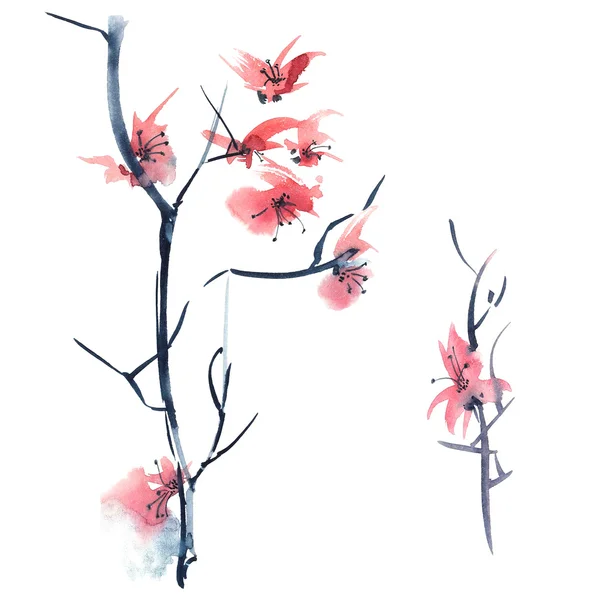 Sakura. Illustration de fleurs.. — Photo