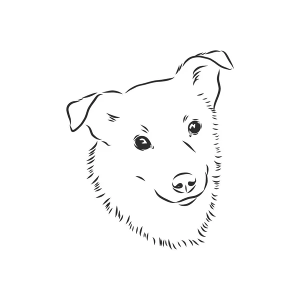 Silueta Simple Cabeza Perro Ilustración Vectorial — Archivo Imágenes Vectoriales