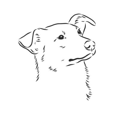 Beyaz arkaplanda siyah renkli kabarık köpek vektör eli çizimi